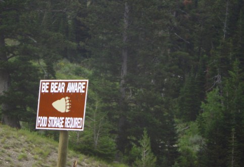 Don't Feed the Bears